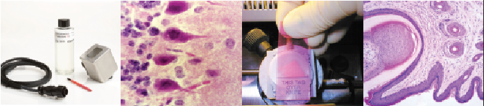 35.png 35.png