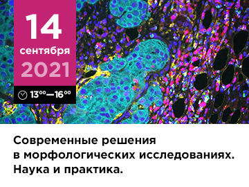 Семинар на базе ФГБНУ НИИМЧ